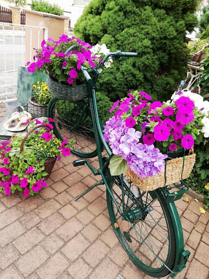 Kreativ Ferienwohnung Domizil Der Sinne Bad Liebenwerda Exterior foto